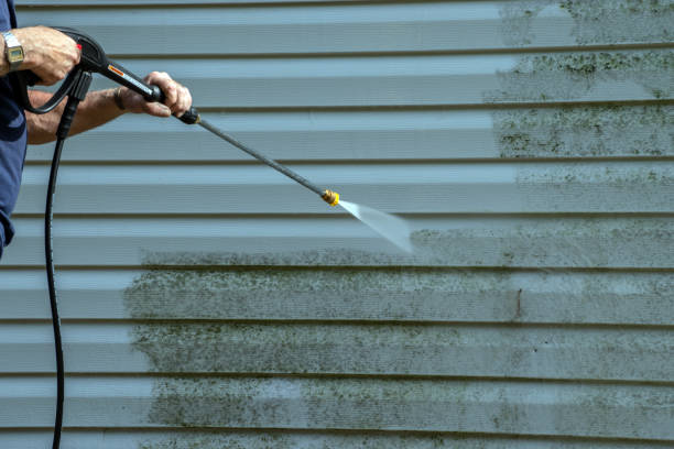 Best Roof Washing  in Belle Fourche, SD